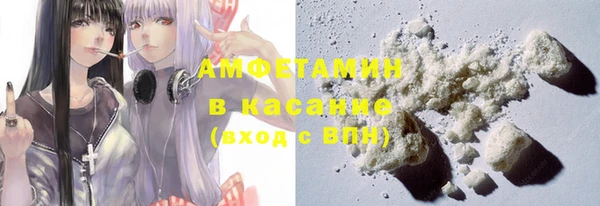 гашик Алексин