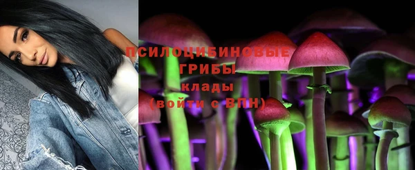 прущие грибы Алзамай
