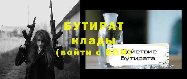 гашик Алексин