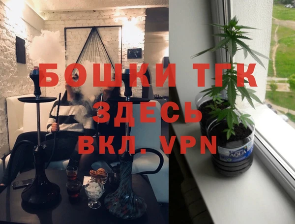 гашик Алексин