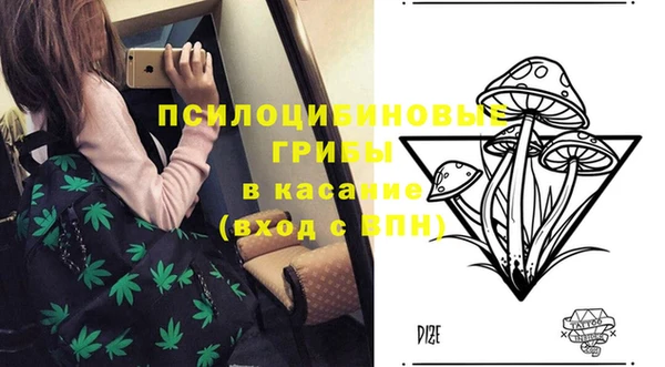 гашик Алексин