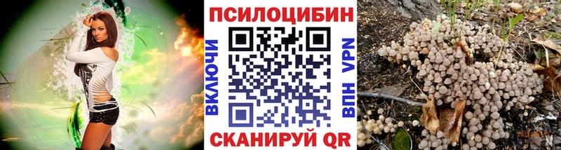 Псилоцибиновые грибы Cubensis  Волгоград 